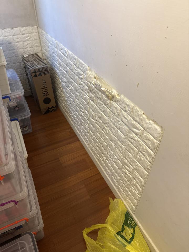 壁紙清除案件圖片