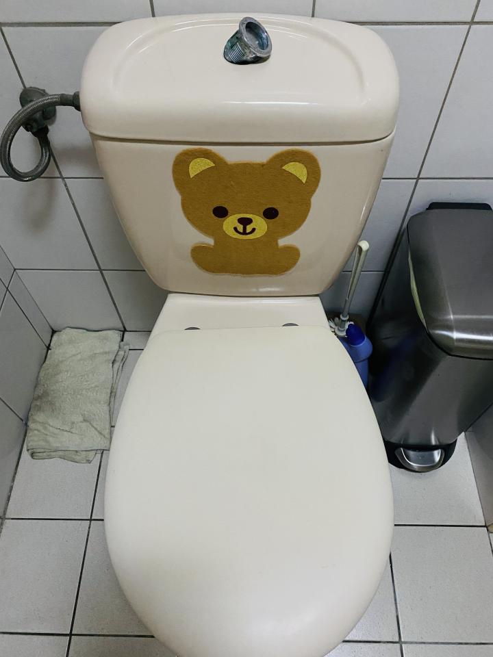 馬桶裝修案件圖片 馬桶裝修案件圖片