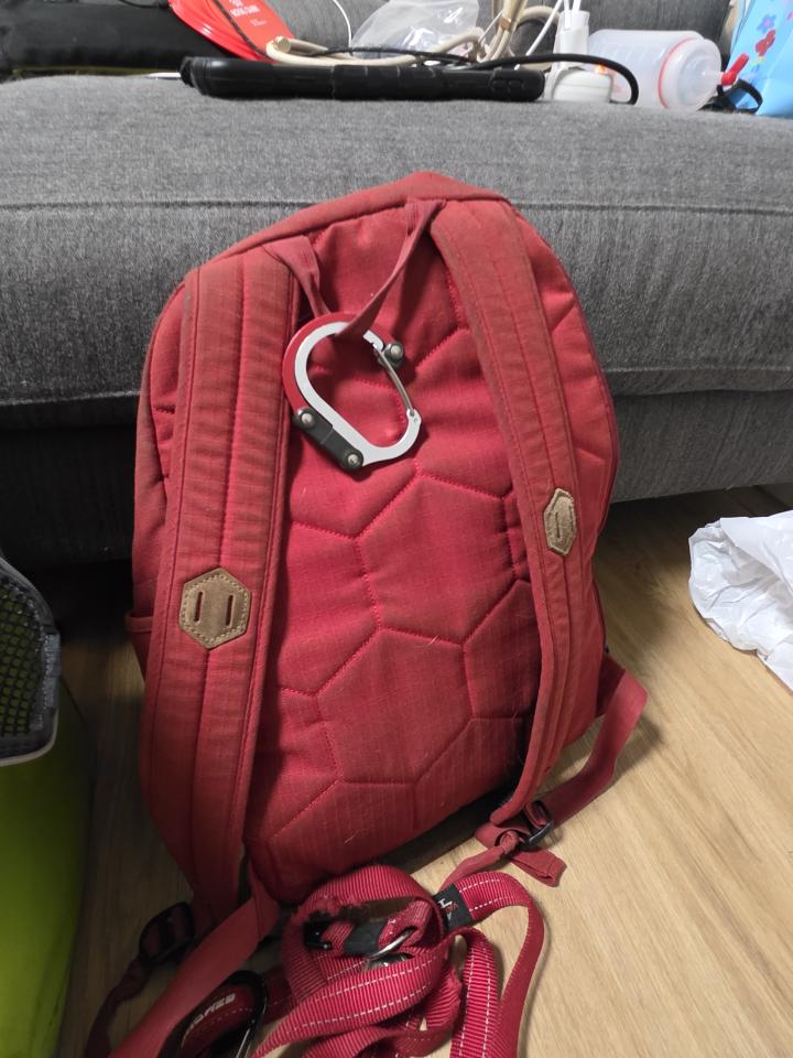 洗包包案件圖片