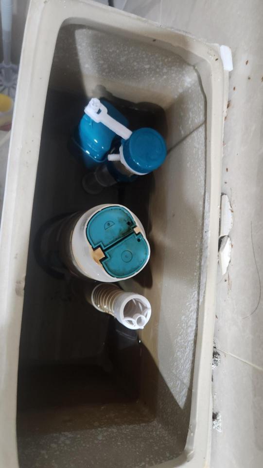 馬桶裝修案件圖片