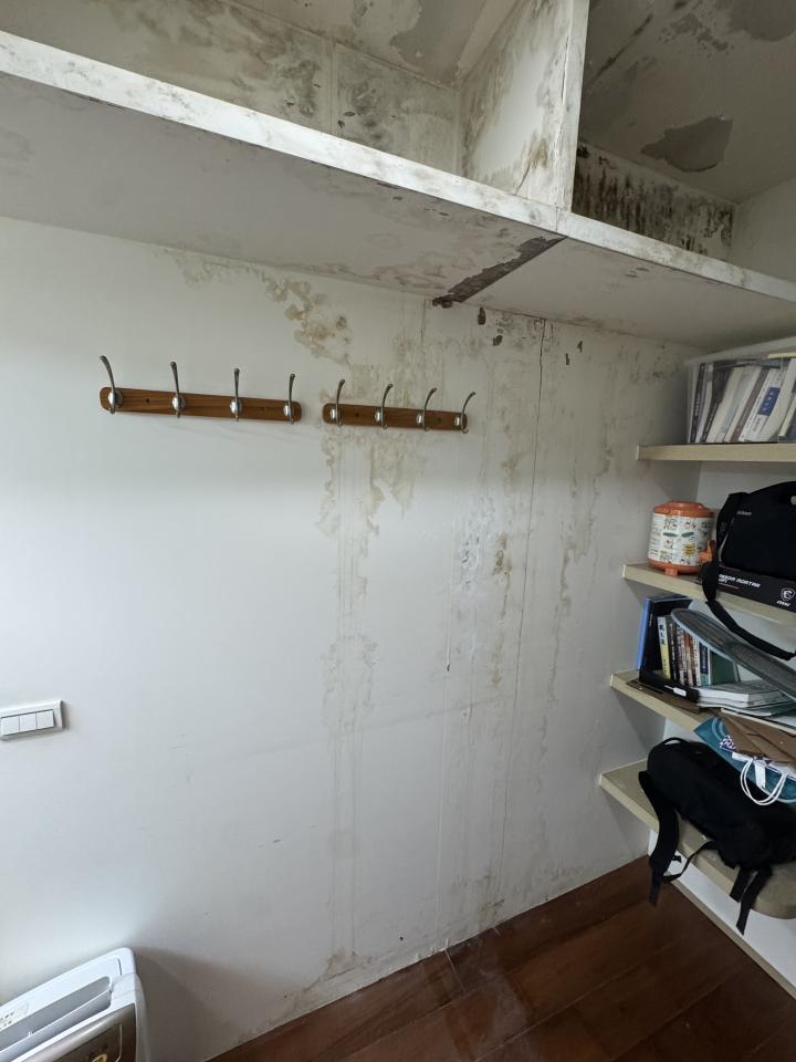 油漆工程案件圖片