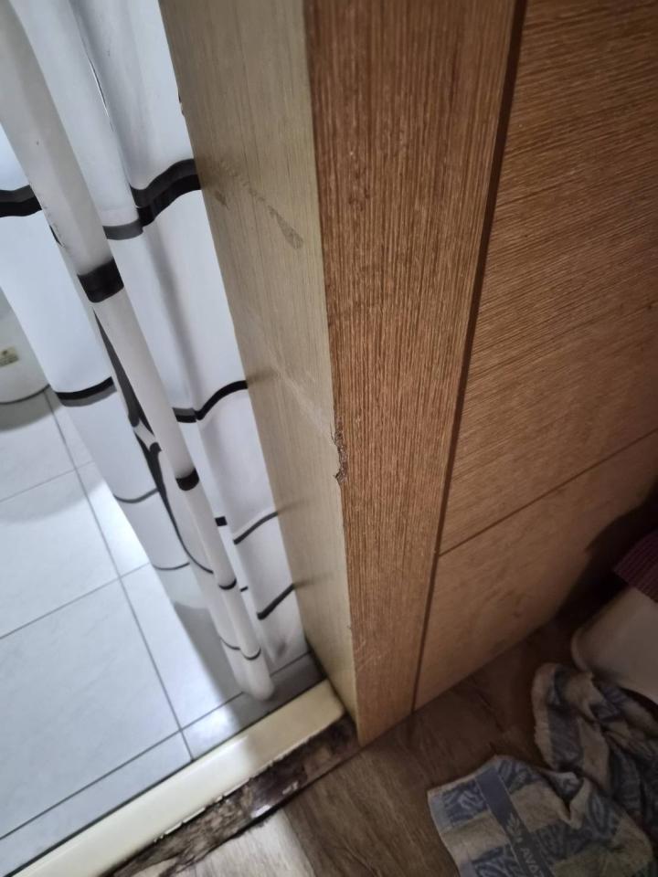 木工施工案件圖片