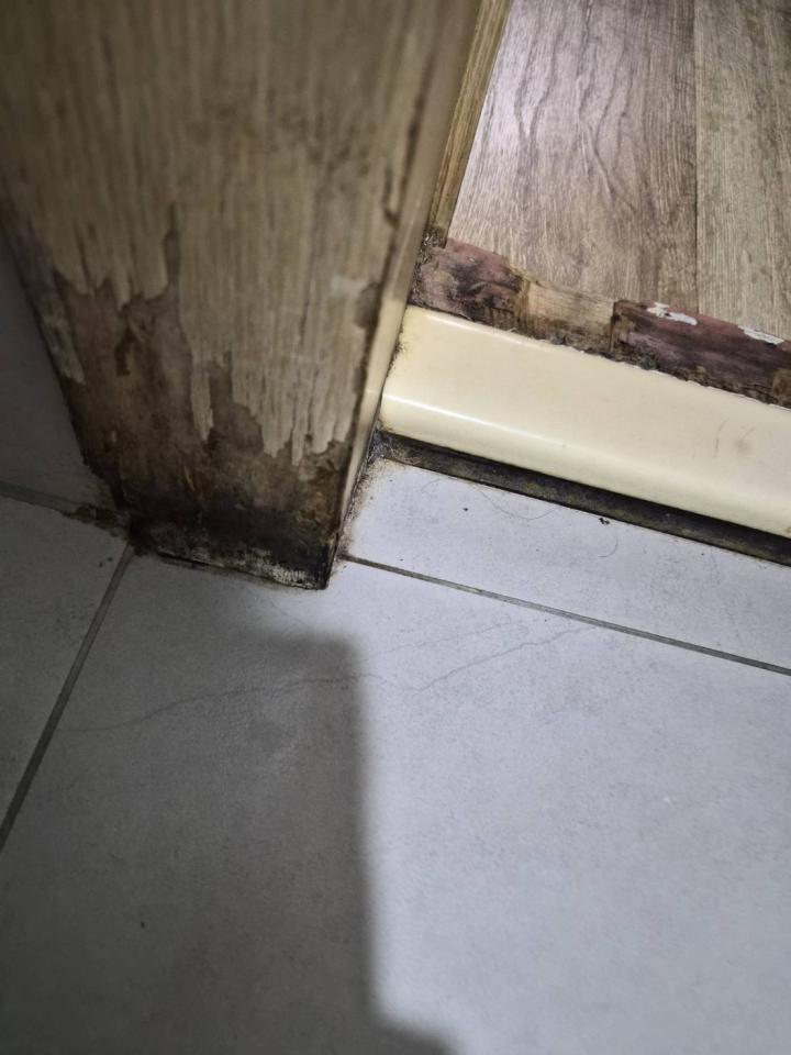 木工施工案件圖片