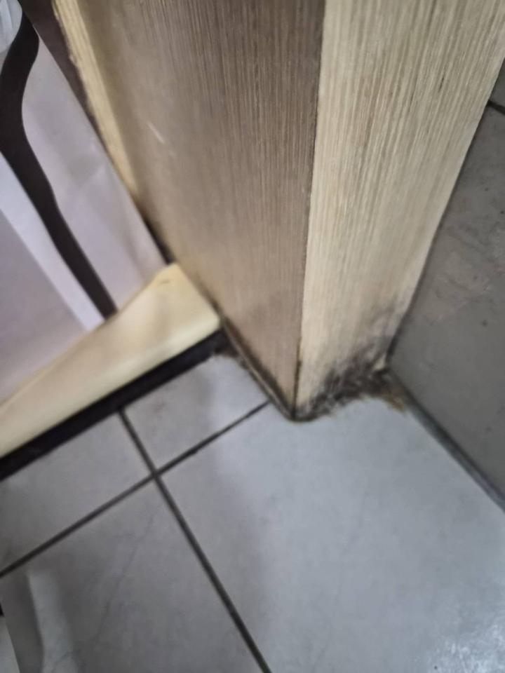 木工施工案件圖片