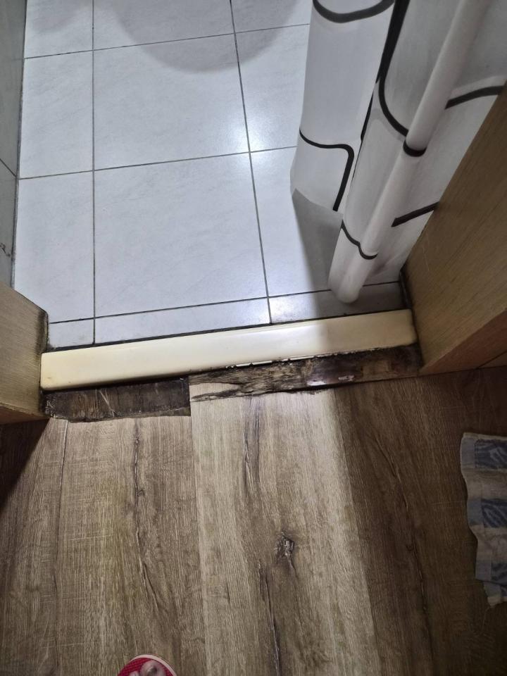 木工施工案件圖片