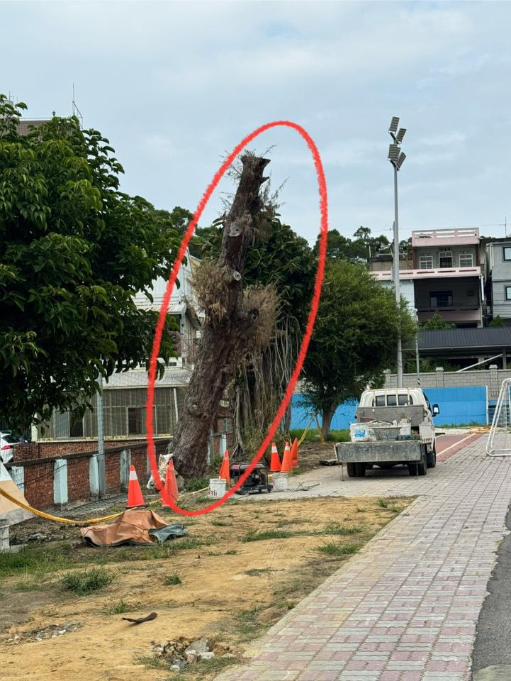 園藝維護案件圖片