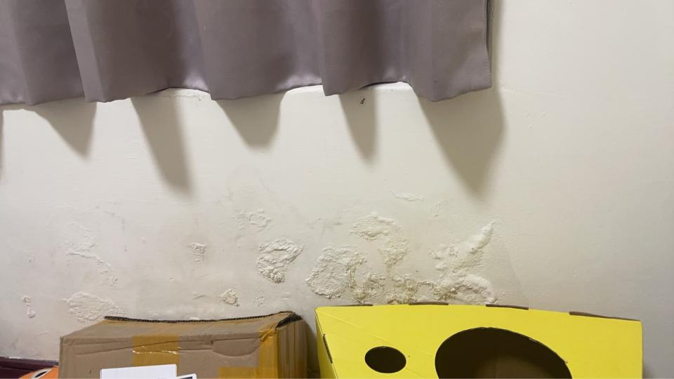 壁癌處理案件圖片