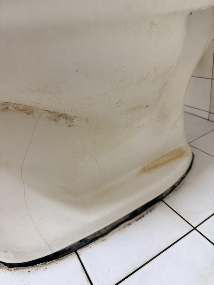 馬桶裝修案件圖片