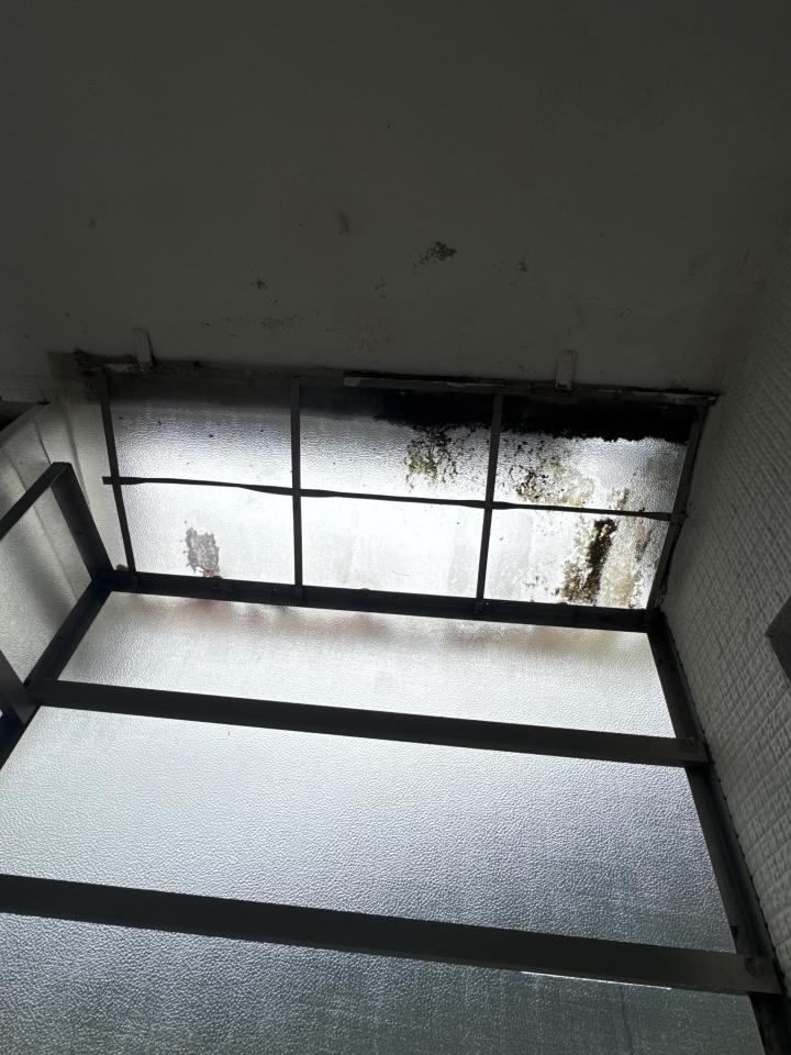 遮陽網工程案件圖片