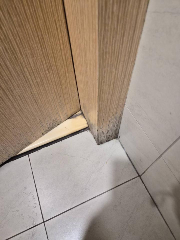 木工施工案件圖片