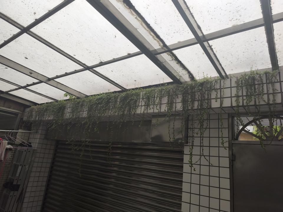 園藝維護案件圖片