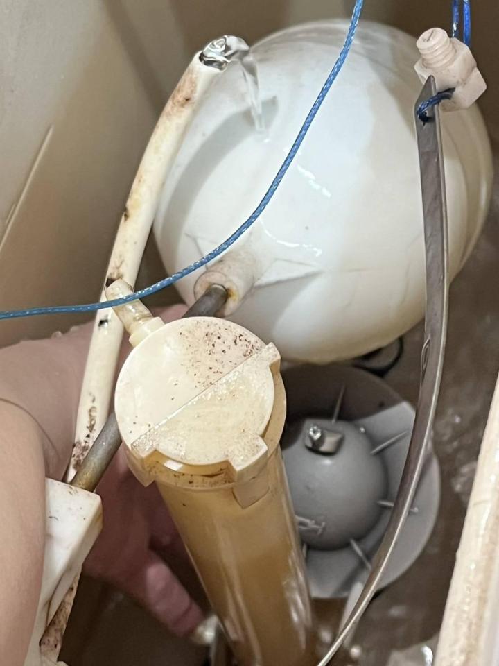 馬桶裝修案件圖片 馬桶裝修案件圖片