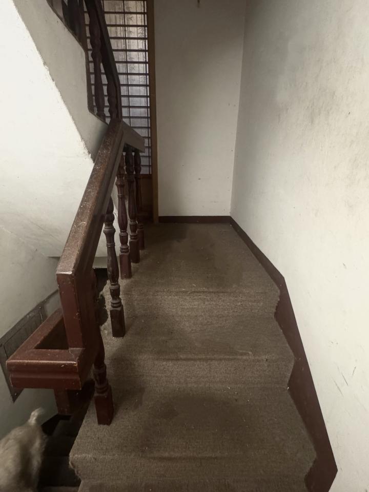 地板施工案件圖片