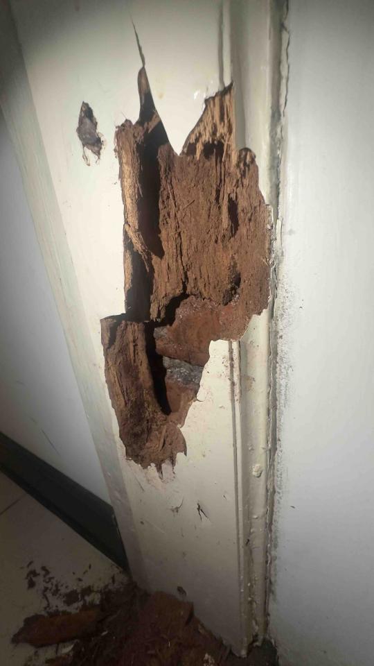 門片維修案件圖片