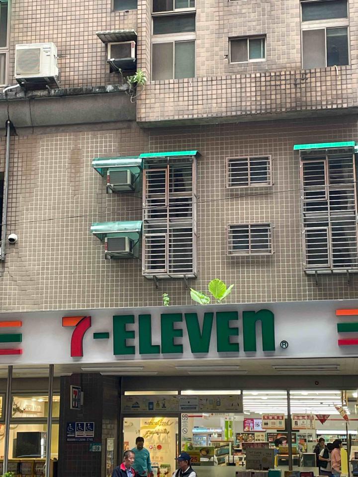 採光罩案件圖片