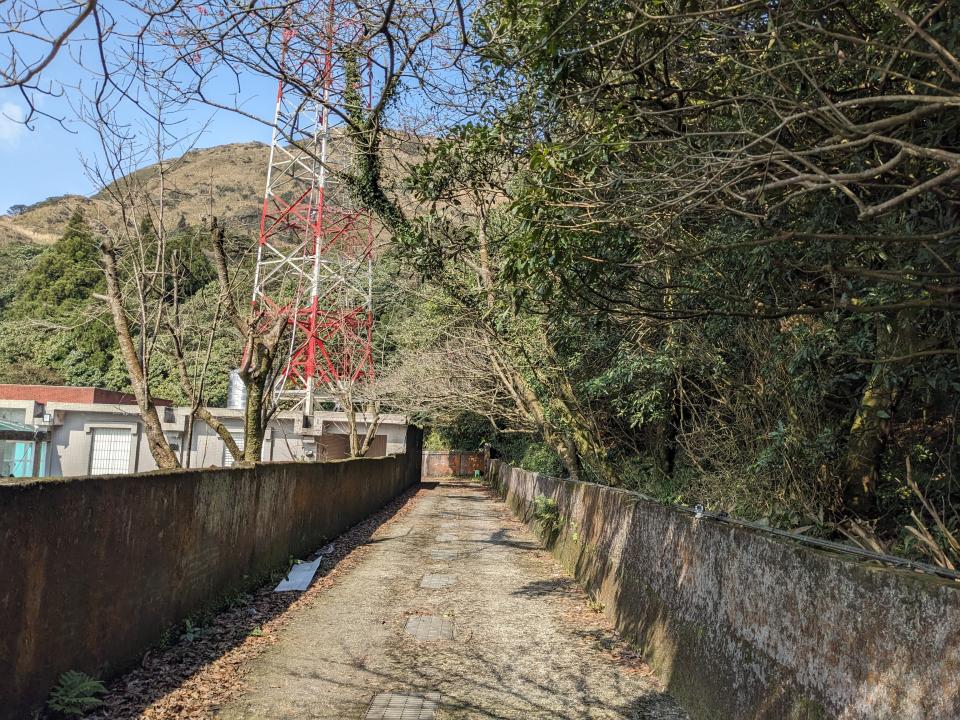 園藝維護案件圖片