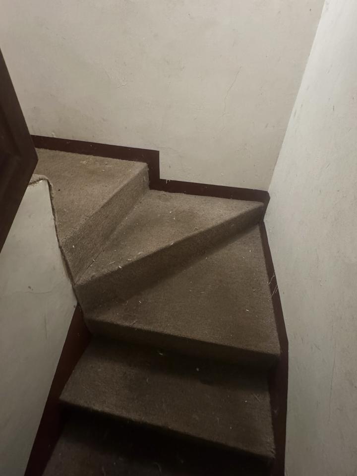 地板施工案件圖片