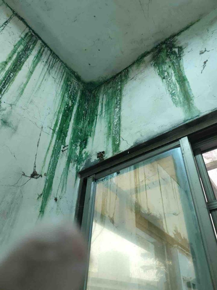 漏水處理案件圖片