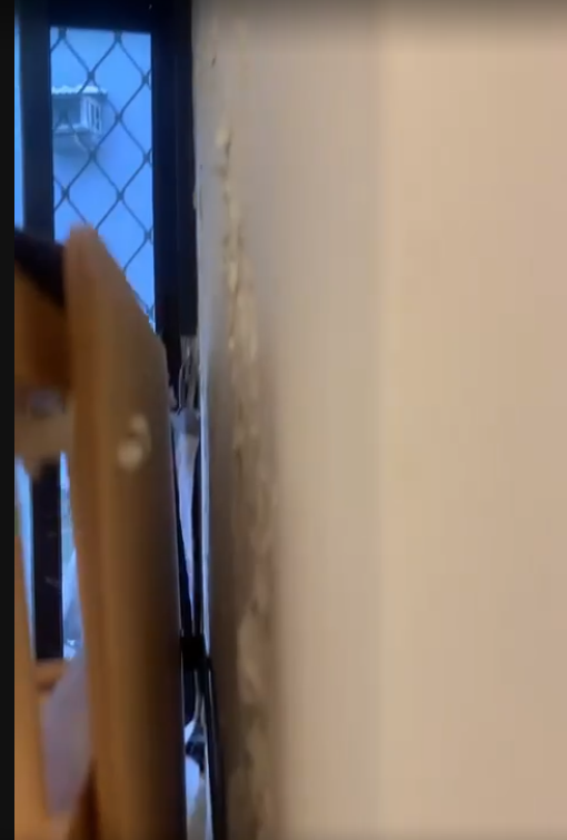 壁癌處理案件圖片