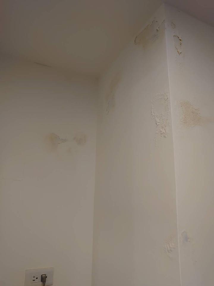 壁癌處理案件圖片