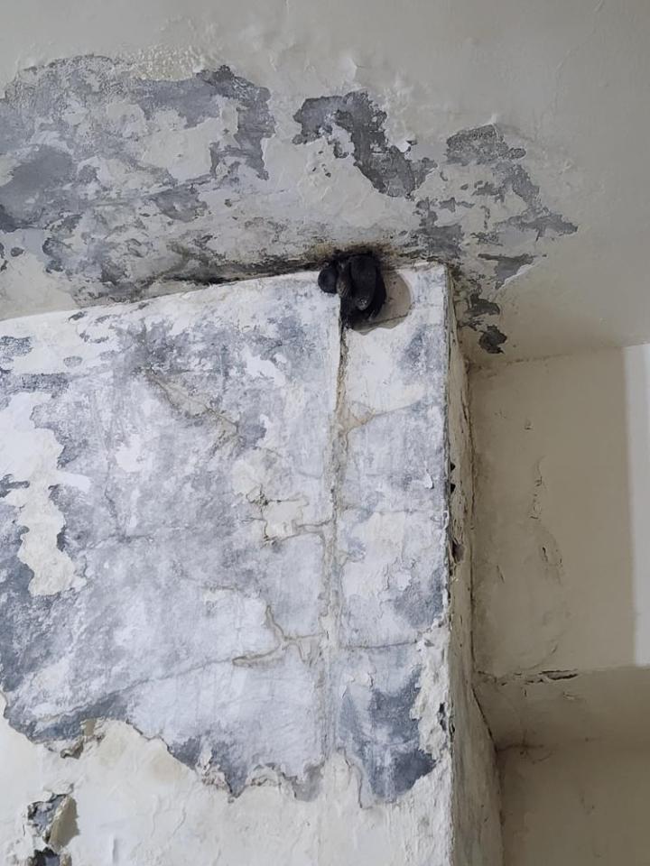 漏水處理案件圖片