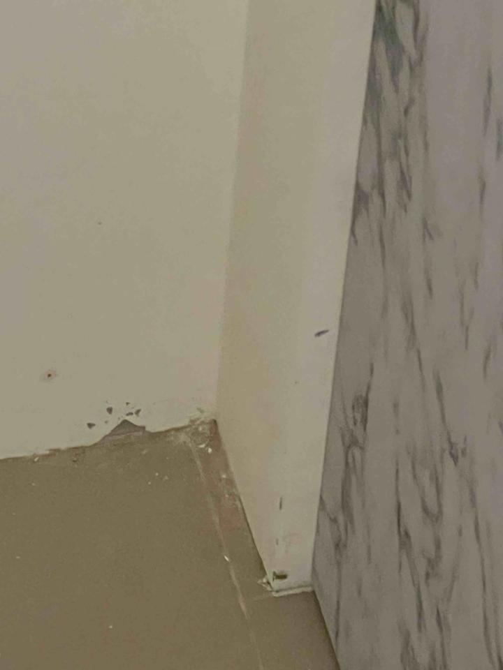 油漆工程案件圖片