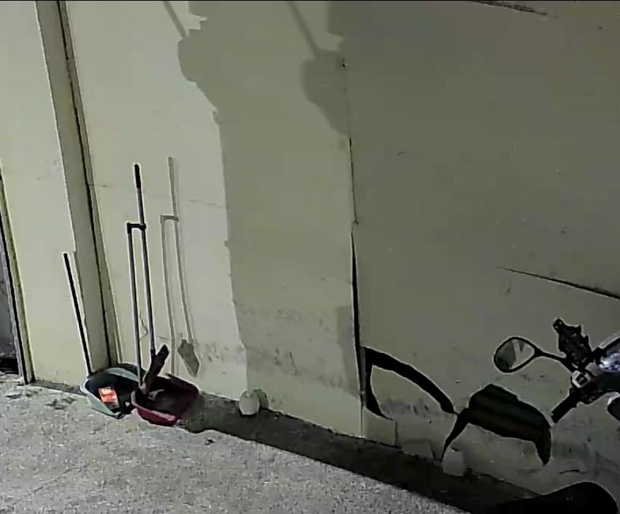 木工施工案件圖片