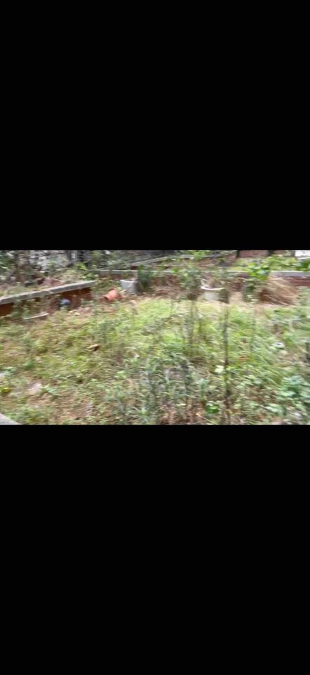 園藝維護案件圖片