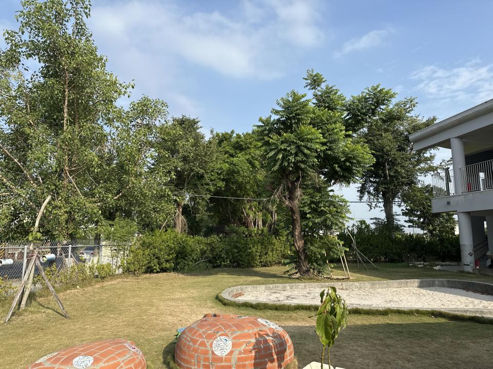 園藝維護案件圖片