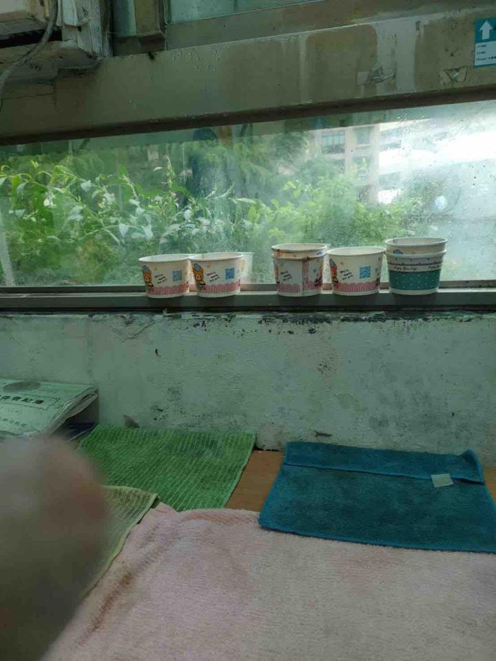 漏水處理案件圖片