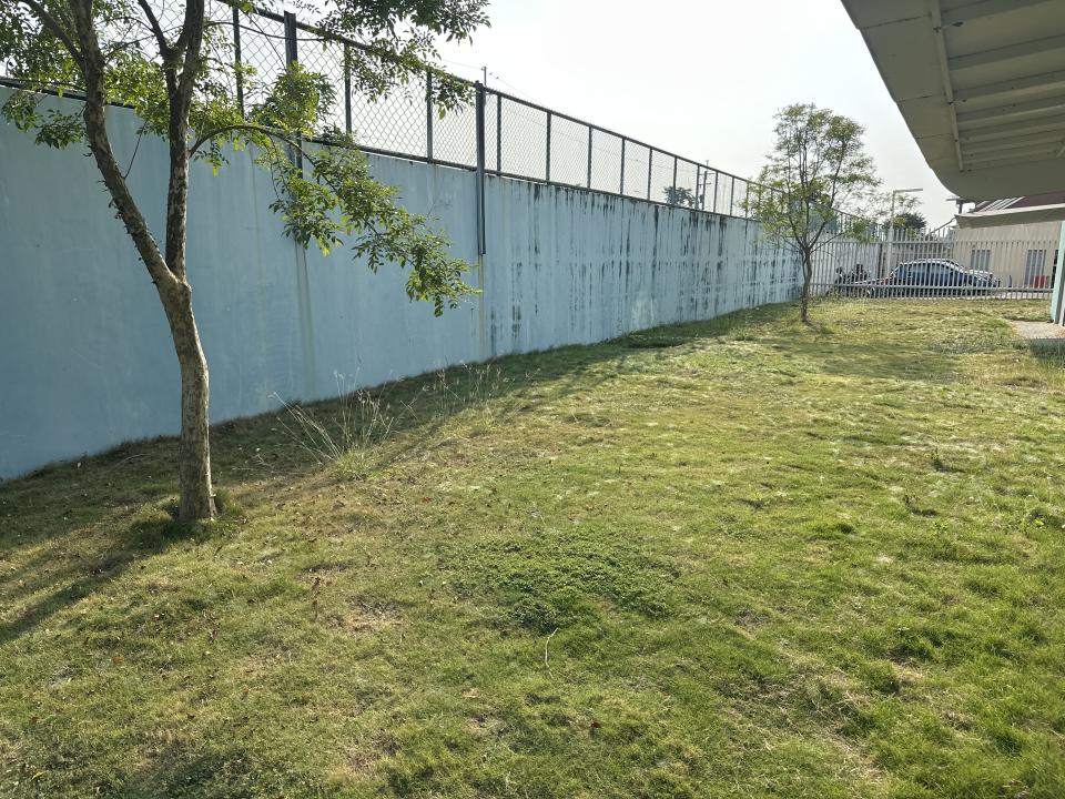 園藝維護案件圖片