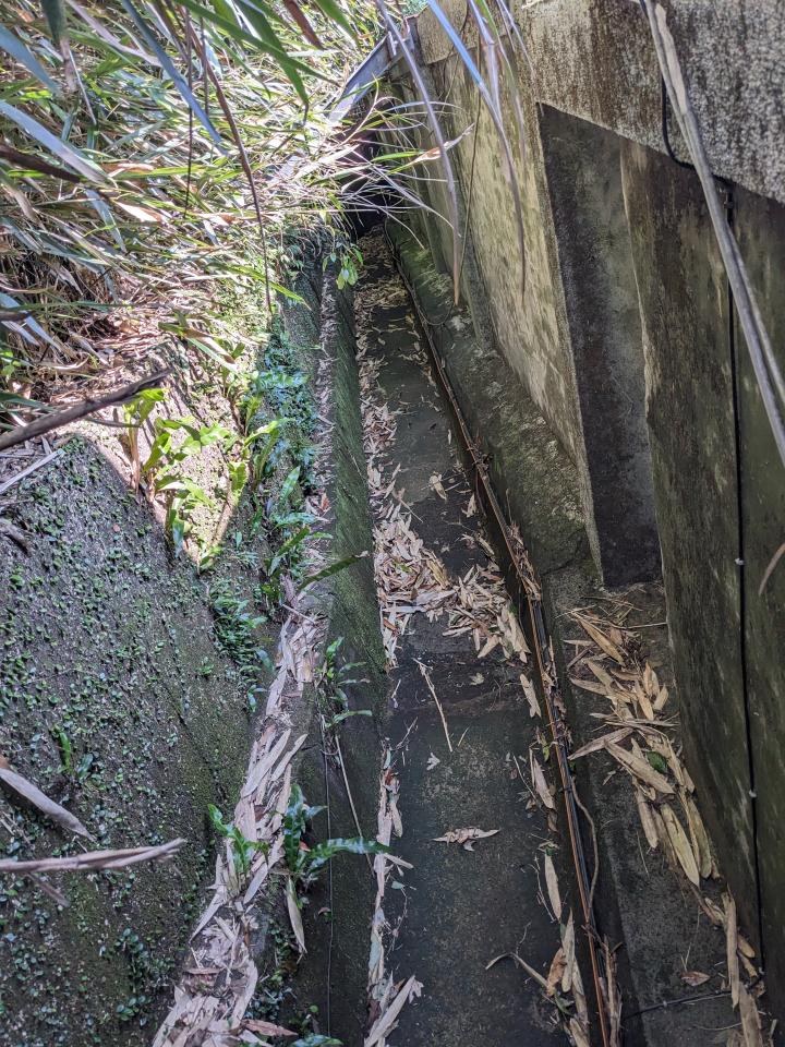 園藝維護案件圖片