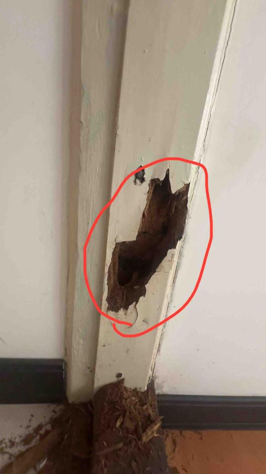 門片維修案件圖片