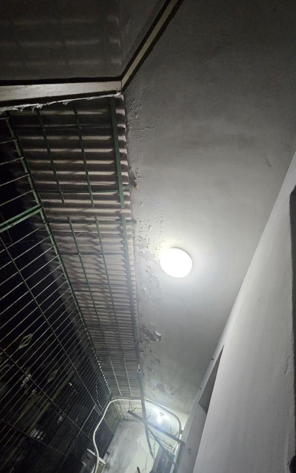 壁癌處理案件圖片