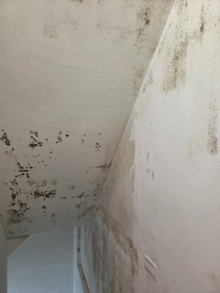 漏水處理案件圖片