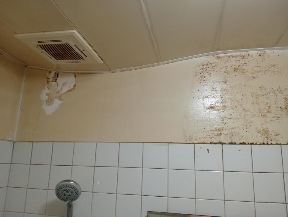 浴室翻新案件圖片