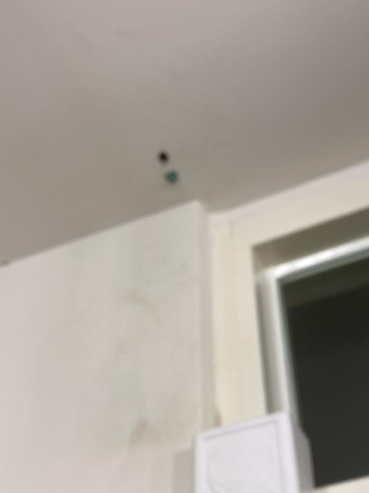 木工施工案件圖片