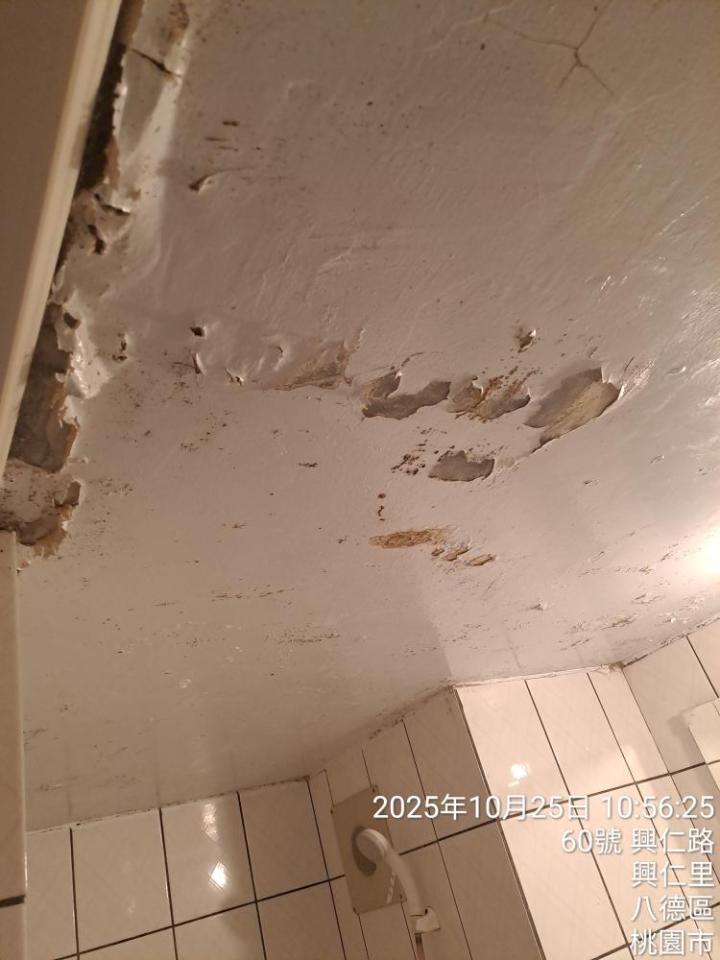 壁癌處理案件圖片