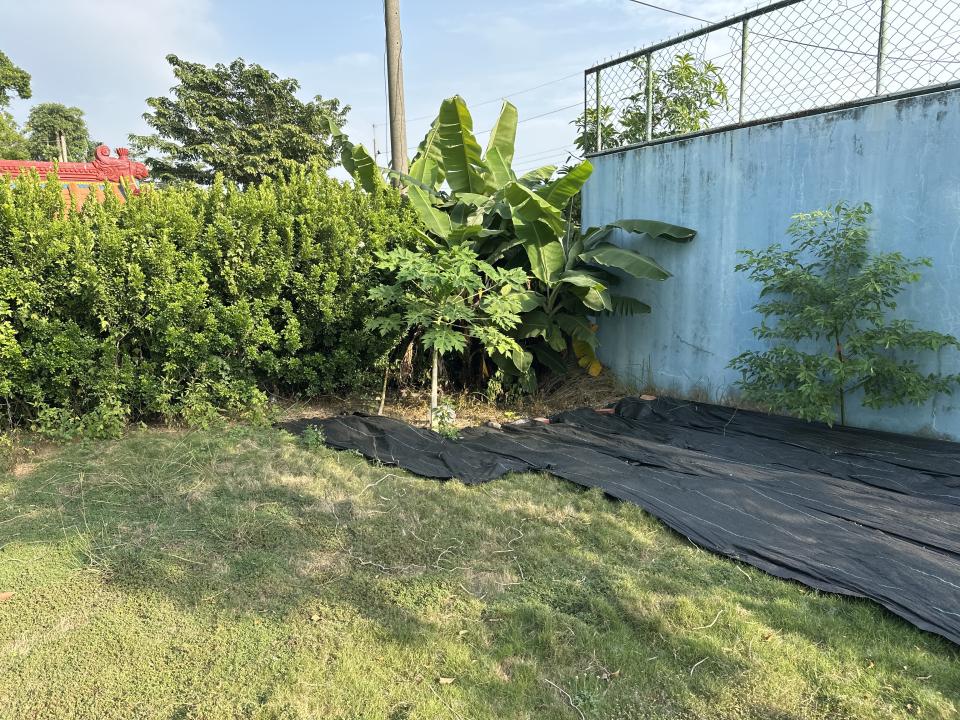 園藝維護案件圖片