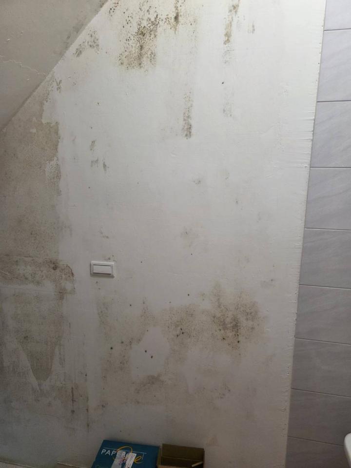 漏水處理案件圖片