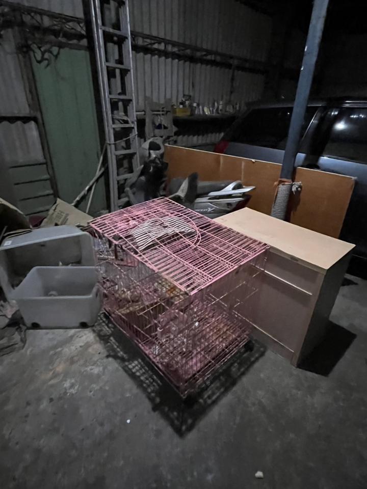 大型垃圾回收案件圖片