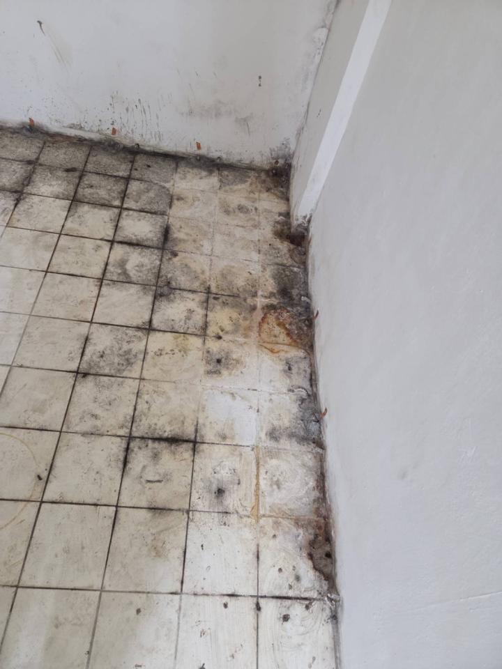 漏水處理案件圖片