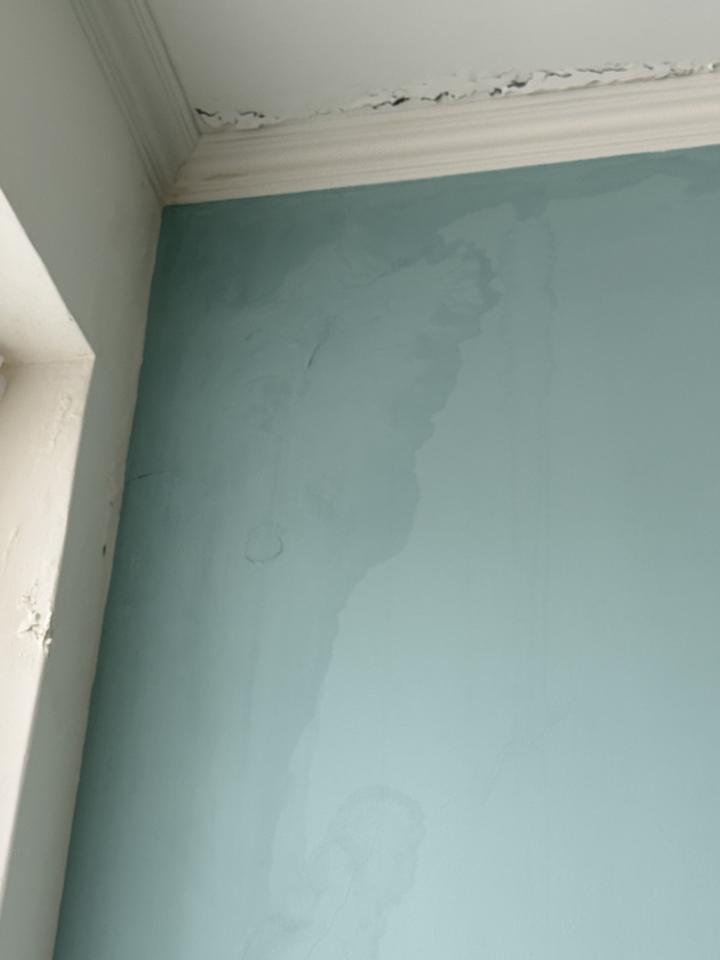 油漆工程案件圖片