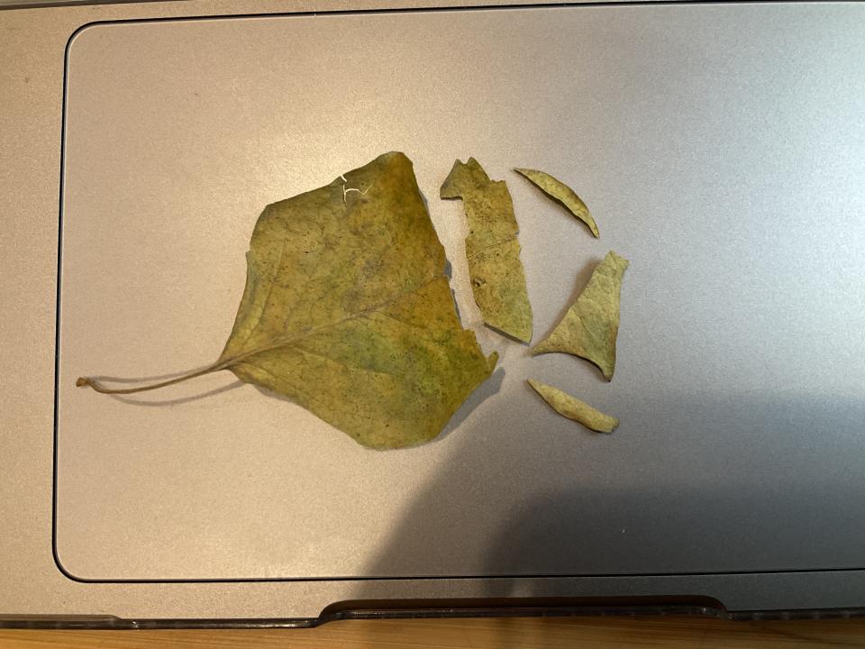 平面設計案件圖片