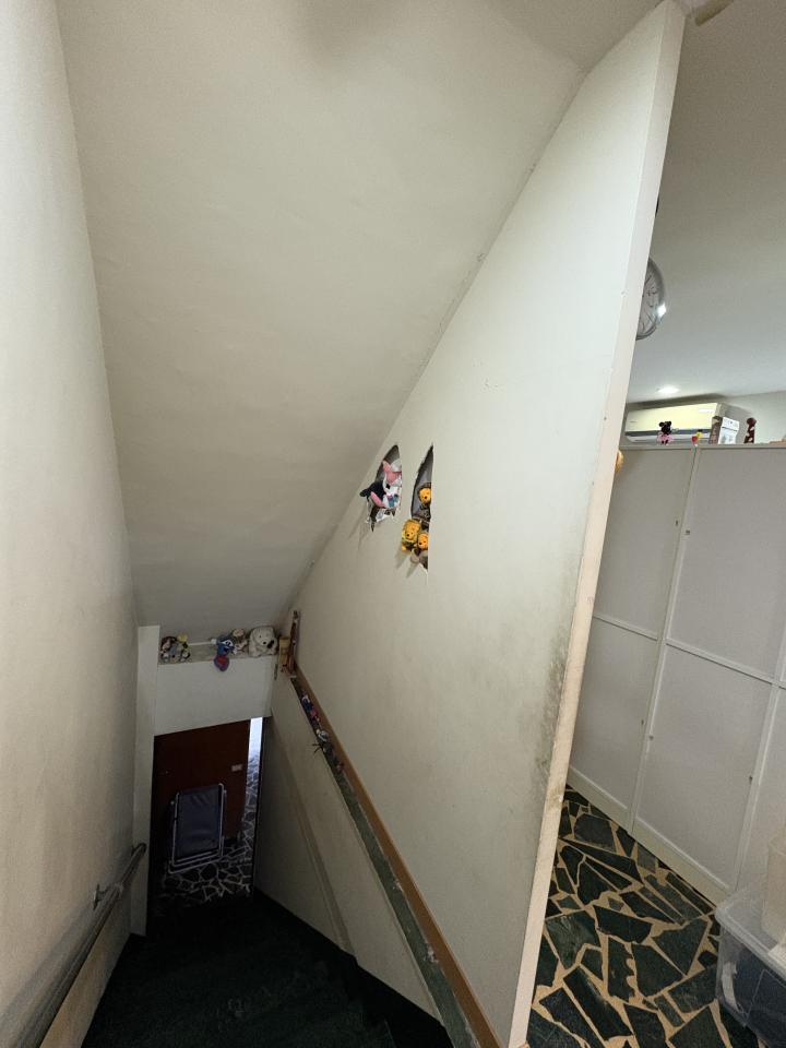 壁紙施工案件圖片