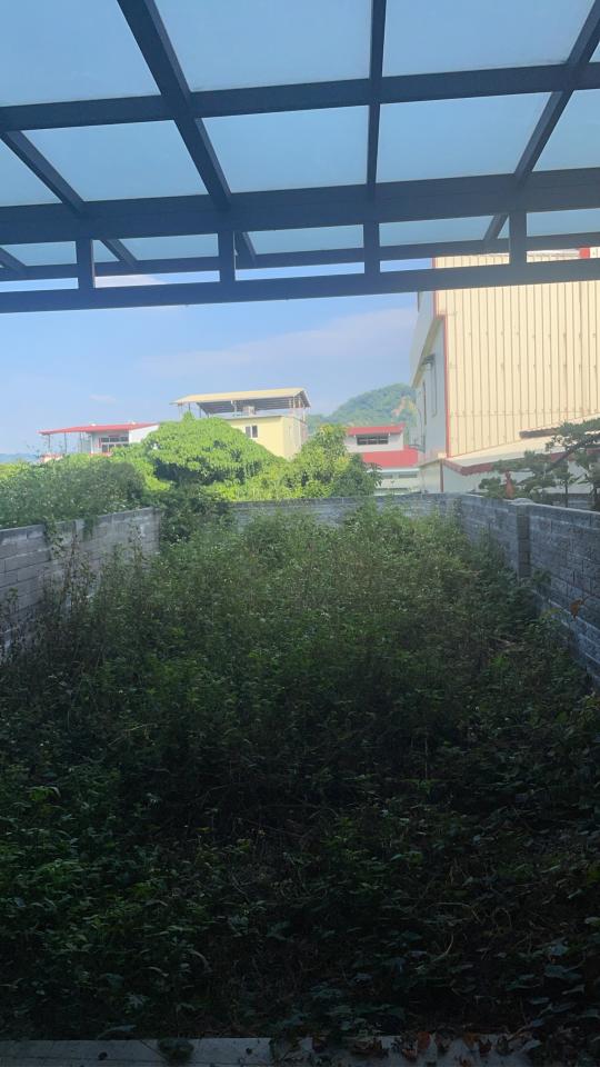 園藝設計案件圖片