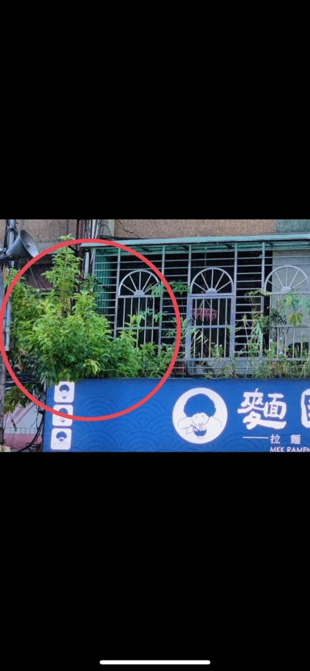 園藝維護案件圖片