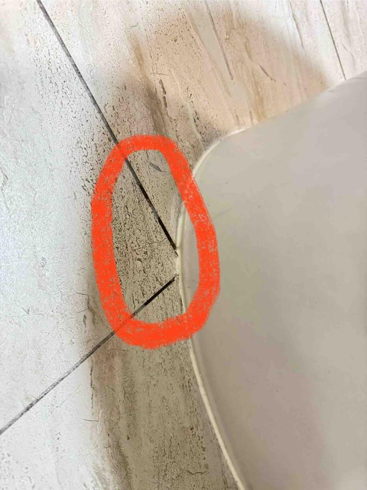 馬桶裝修案件圖片