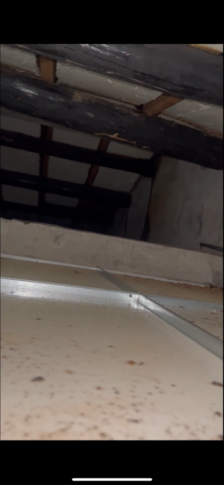 屋瓦翻修案件圖片