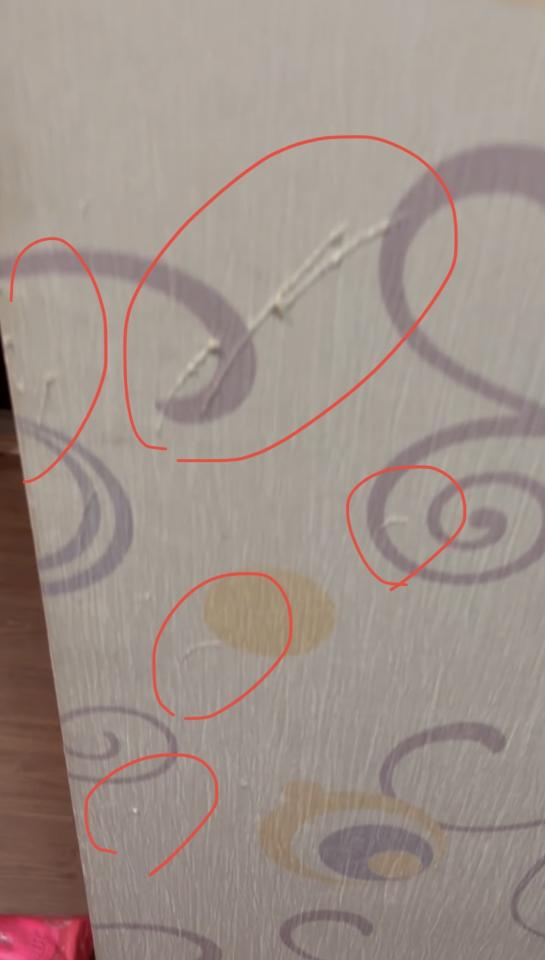 室內裝潢案件圖片